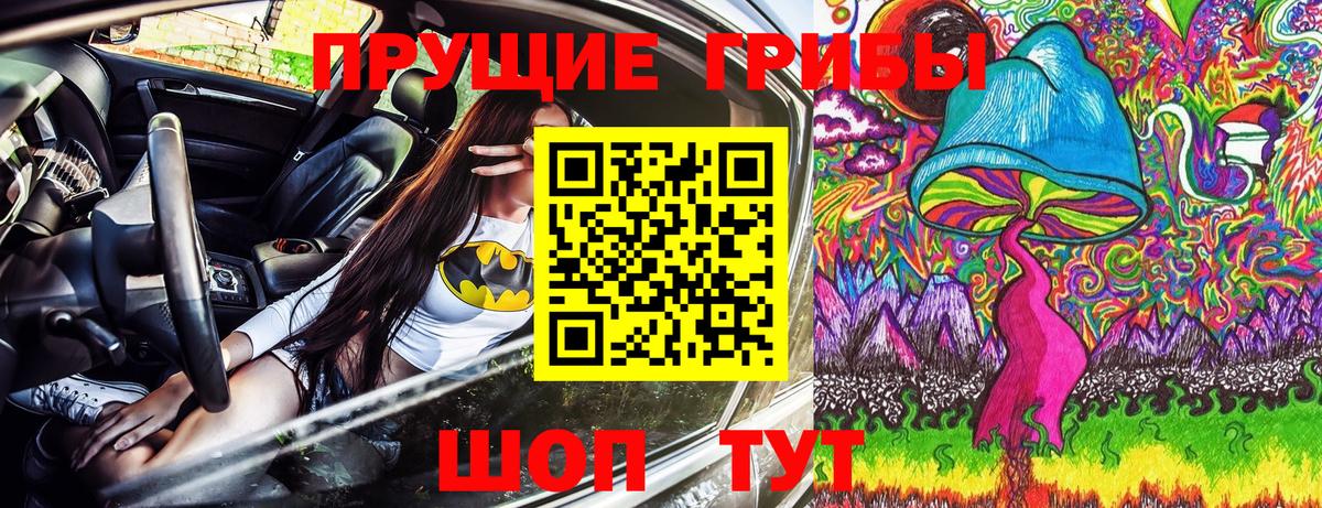 Псилоцибиновые грибы мицелий Рубцовск